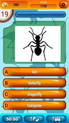 Play Guess The Animal Shadow Quiz