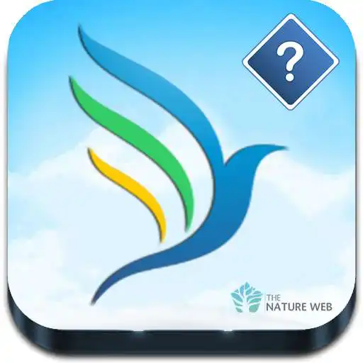 Play Guess the Bird - Photo Quiz APK Play Guess the Bird - Photo Quiz APK