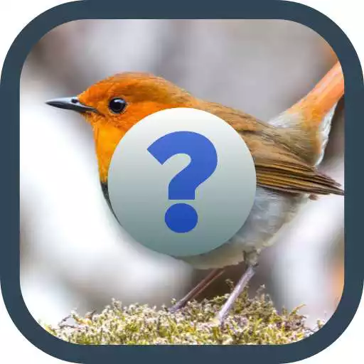 Play Guess The Birds Name APK Play Guess The Birds Name APK
