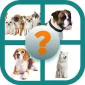 Free play online Guess the breed of the dog - What dog breed is it? APK Free play online Guess the breed of the dog - What dog breed is it? APK