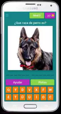 Play Guess the breed of the dog - What dog breed is it?