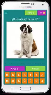 Play Guess the breed of the dog - What dog breed is it?