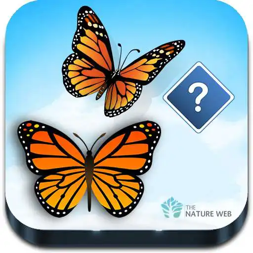 Play Guess the Butterfly-Photo Quiz APK