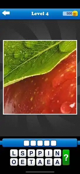 Play Guess the Close Up Pics Quiz  and enjoy Guess the Close Up Pics Quiz with UptoPlay