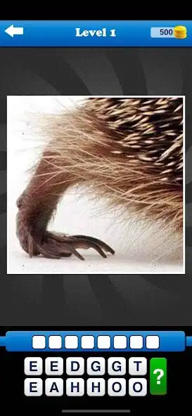 Play Guess the Close Up Pics Quiz as an online game Guess the Close Up Pics Quiz with UptoPlay