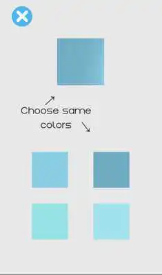 Play Guess the Color