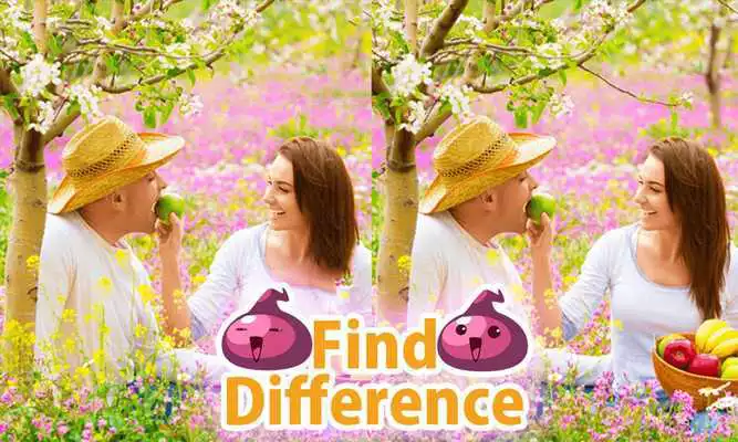 Play Guess the Difference 33