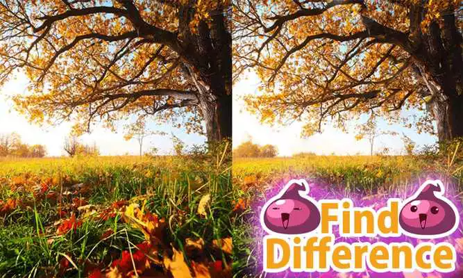 Play Guess the Difference 33