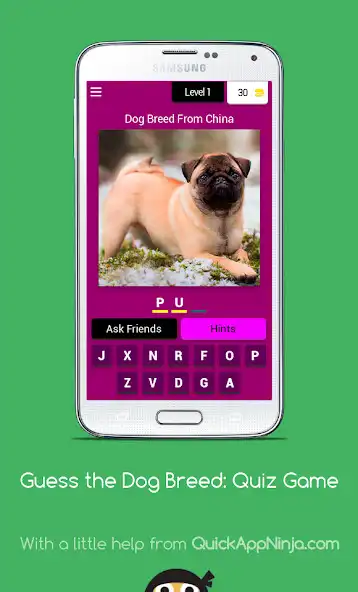 Play Guess the Dog Breed: Quiz as an online game Guess the Dog Breed: Quiz with UptoPlay