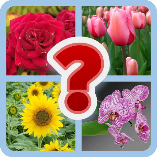 Play Guess the Flower Quiz APK