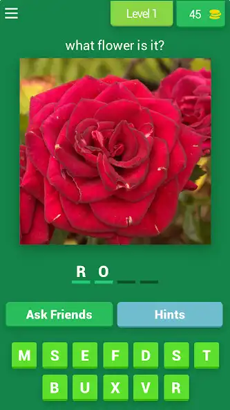 Play Guess the Flower Quiz  and enjoy Guess the Flower Quiz with UptoPlay