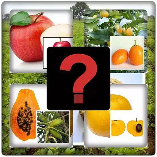 Play Guess the fruit APK Play Guess the fruit APK