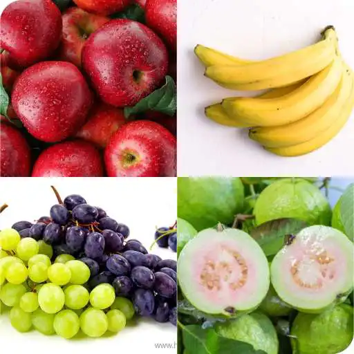 Play Guess the Fruit Name APK