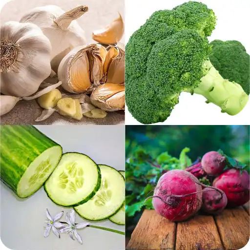Play Guess the Vegetable World - Vegetables Quiz APK