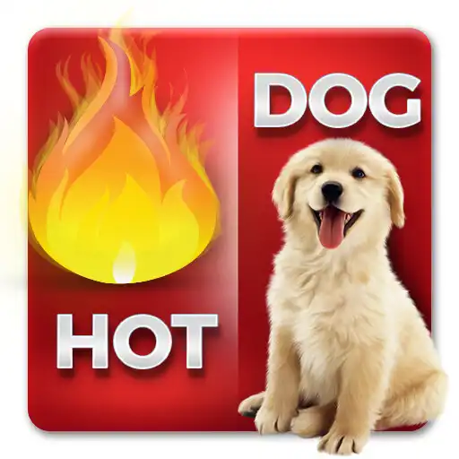 Play Guess The Word: Quiz Game APK Play Guess The Word: Quiz Game APK