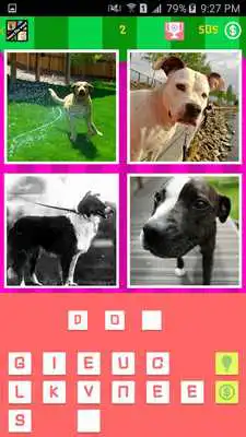 Play Guess the word with 4 pics