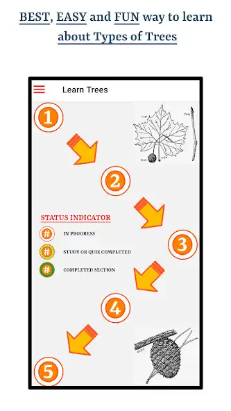 Play Guess Trees From Leaves  and enjoy Guess Trees From Leaves with UptoPlay