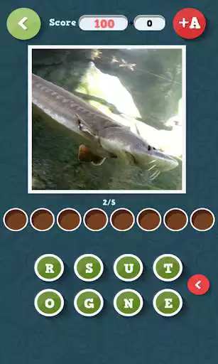 Play Guess what? Fish as an online game Guess what? Fish with UptoPlay