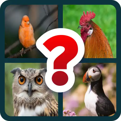 Play Guess who is this bird ? APK
