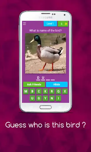 Play Guess who is this bird ? as an online game Guess who is this bird ? with UptoPlay