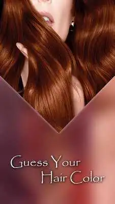 Play Guess Your Hair Color