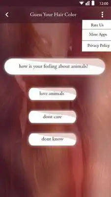 Play Guess Your Hair Color