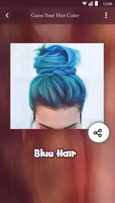 Play Guess Your Hair Color