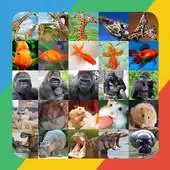 Free play online Guest What Animal APK Free play online Guest What Animal APK