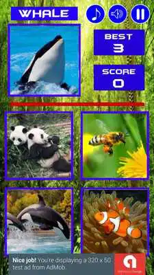 Play Guest What Animal