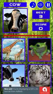 Play Guest What Animal