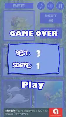 Play Guest What Animal