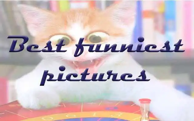 Play Guffaw Play Guffaw