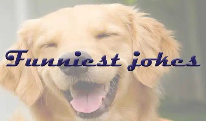 Play Guffaw Play Guffaw