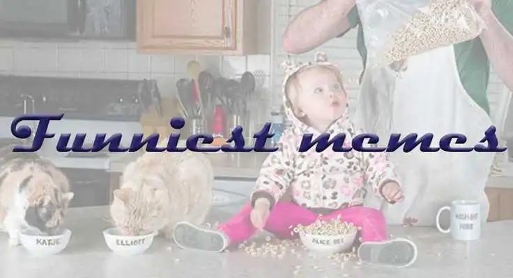 Play Guffaw Play Guffaw