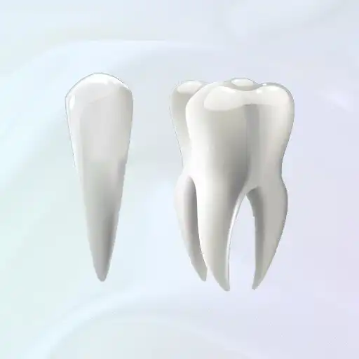 Play Guia de Dentes APK Play Guia de Dentes APK