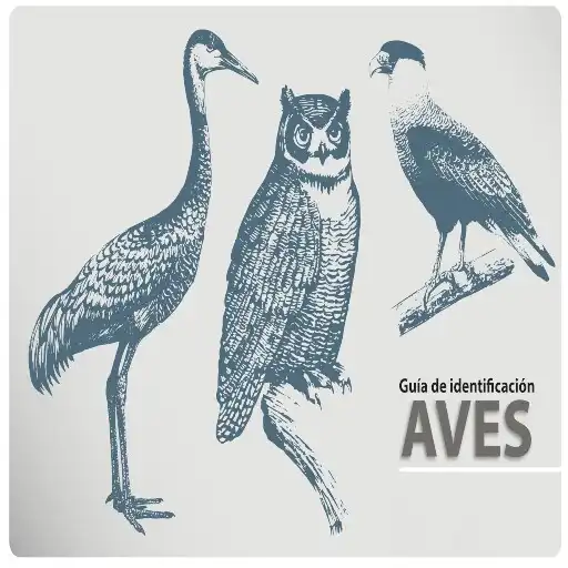 Play Guia de Identificacion de Aves APK Play Guia de Identificacion de Aves APK