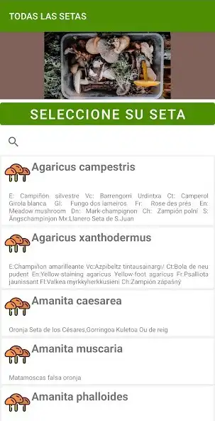 Play Guia recolector setas as an online game Guia recolector setas with UptoPlay