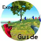 Free play online Guide Crowfield APK