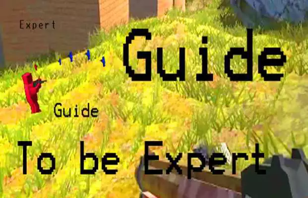 Play Guide Crowfield