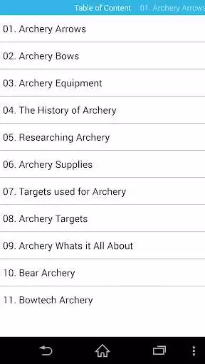 Play Guide for Archery  precision