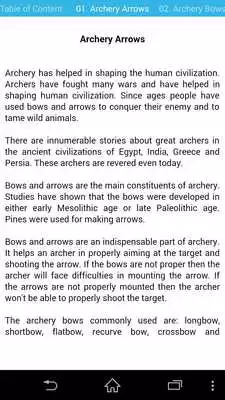 Play Guide for Archery  precision