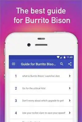 Play Guide for Burrito Bison: Libre Play Guide for Burrito Bison: Libre