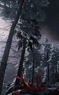 Play Guide for -Fade to Silence- Gameplay