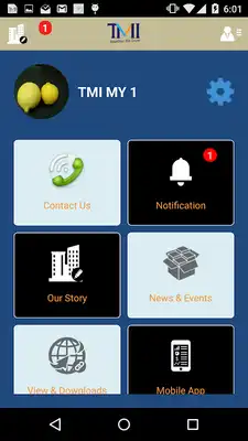 Play Guide For Fidget Spinner 2017