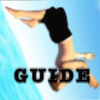 Play Guide For Flip Master
