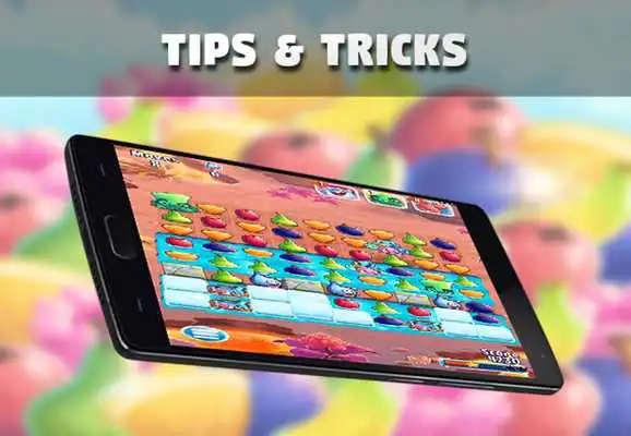 Play Guide for Fruit Nibblers