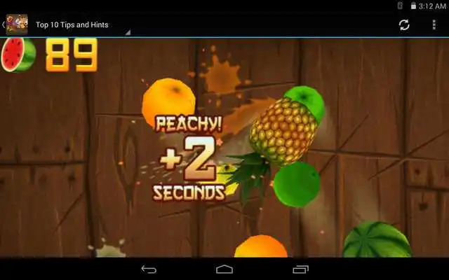 Play Guide For Fruits Ninja