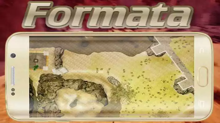 Play Guide Formata Battle Simulator