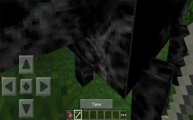 Play Guide for Pet dragon mod MCPE