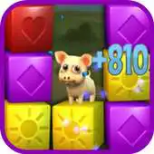 Free play online Guide for Pet Rescue Sage APK